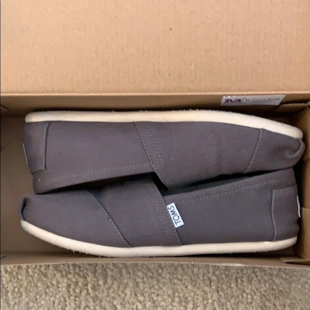 Gray Toms